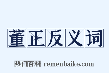 董正反义词是什么意思的图片